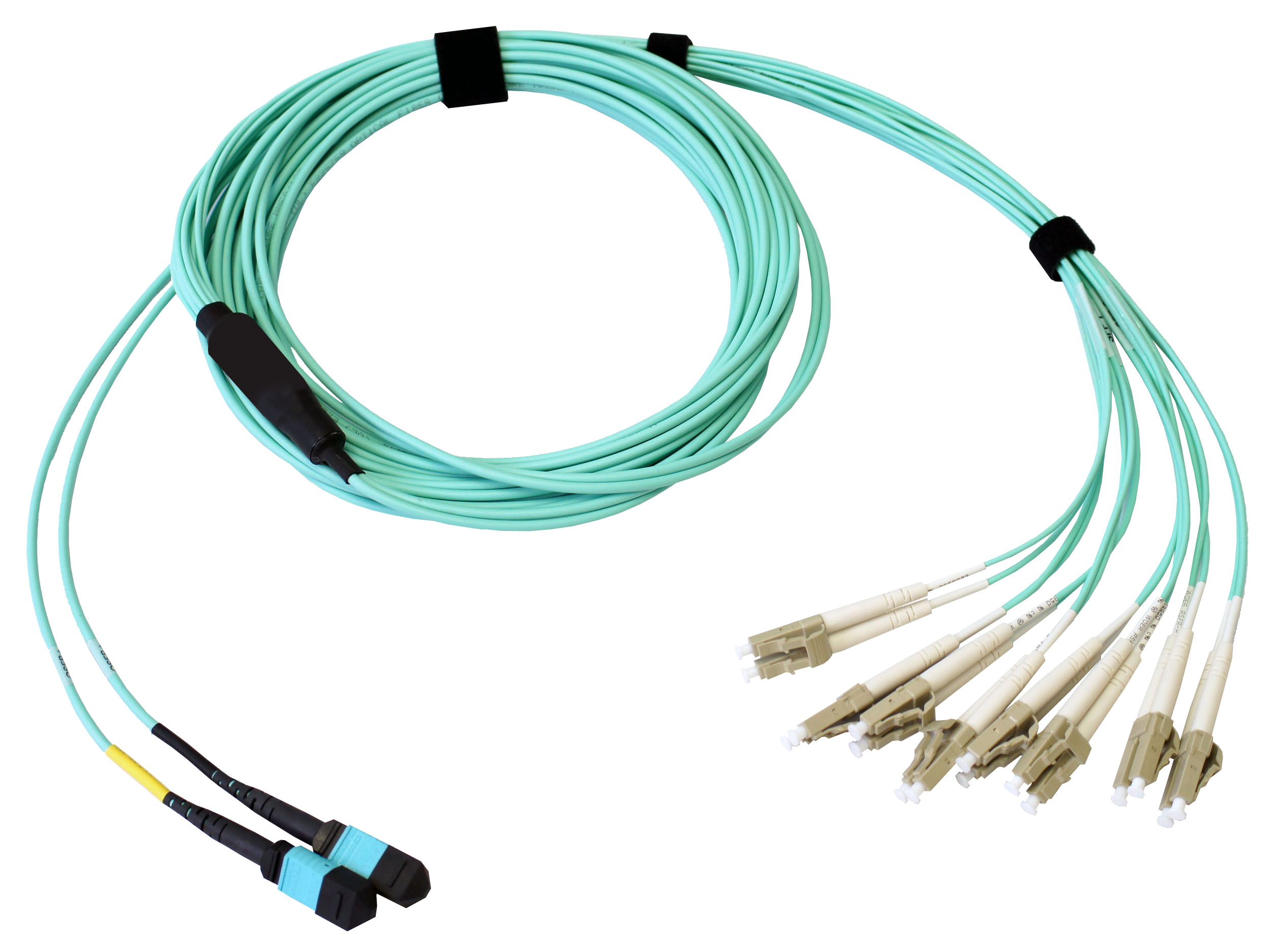 Fiber optic MPO to LC cable assembly